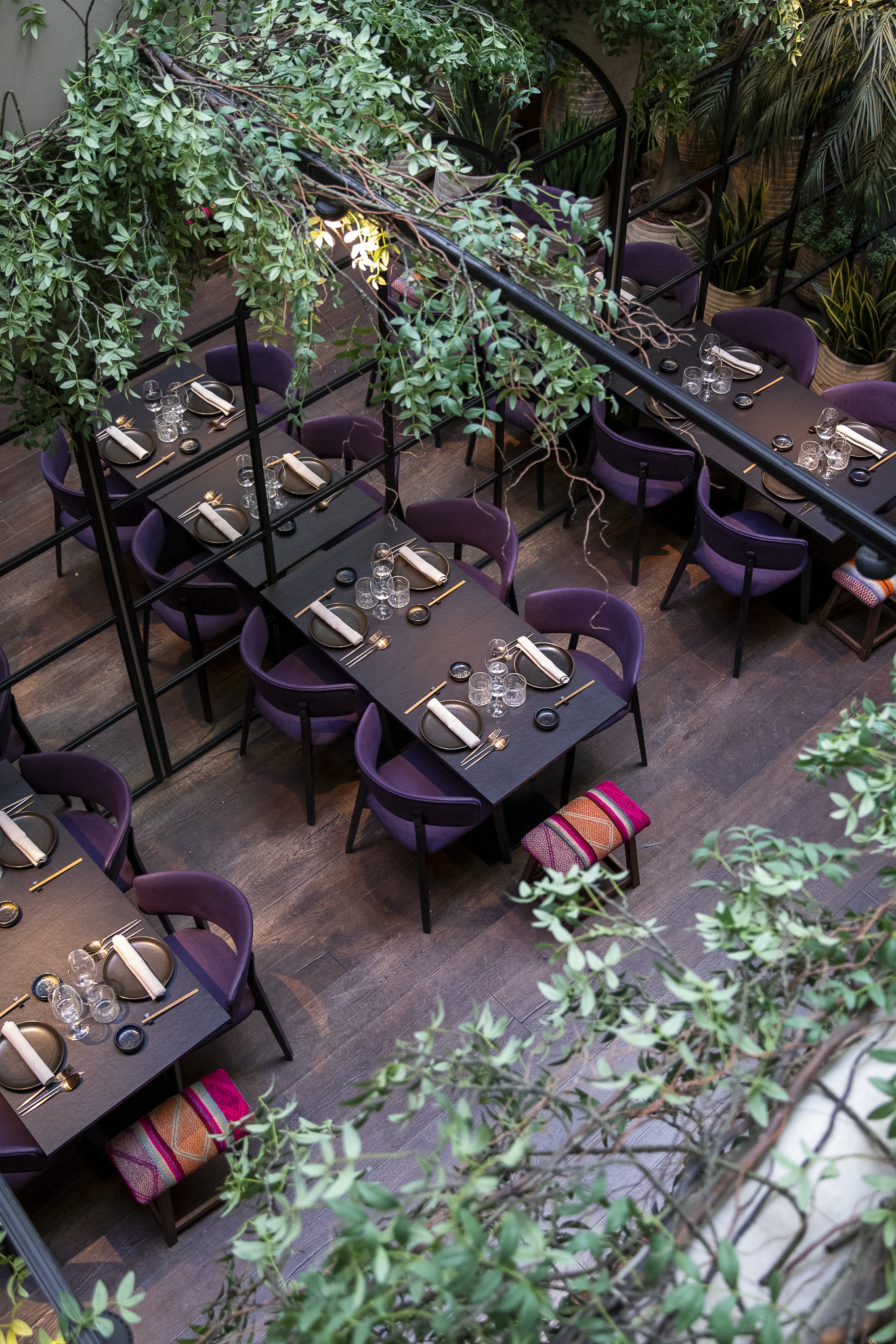 Vive una experiencia única y diferente disfrutando de la gastronomía peruana.